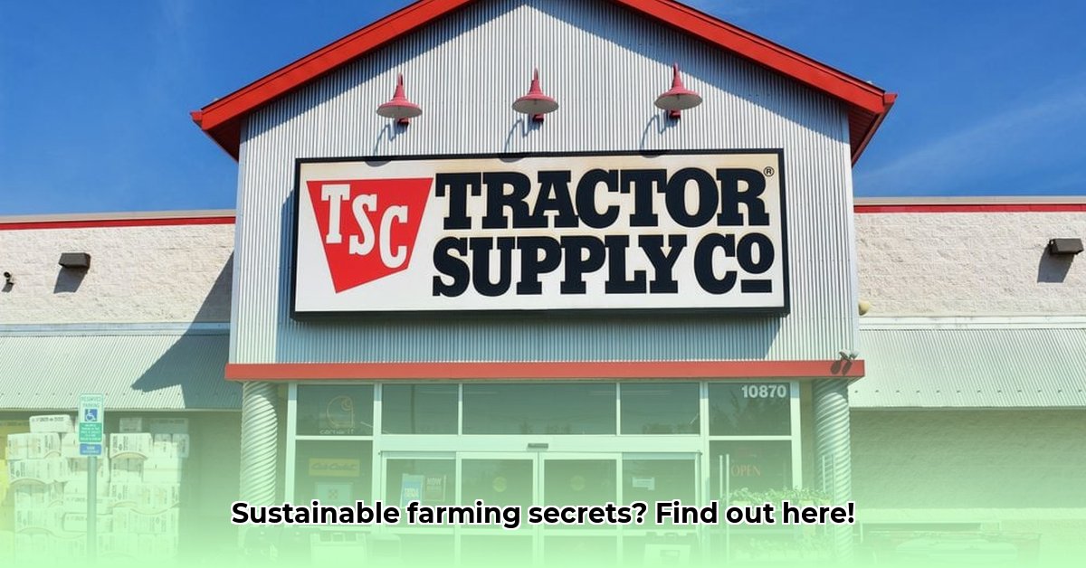tractor-supply-black-mountain-nc